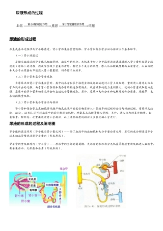2025年尿液形成的过程