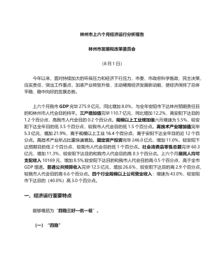 2025年上半年经济运行分析报告