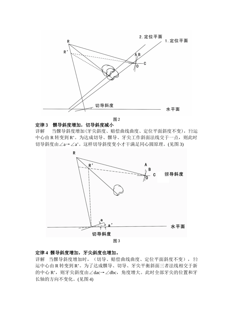 2025年全口义齿五因素十定律详解_第2页