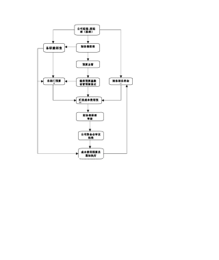 2025年公司预算流程图