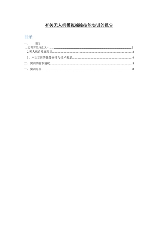 2025年无人机实训报告