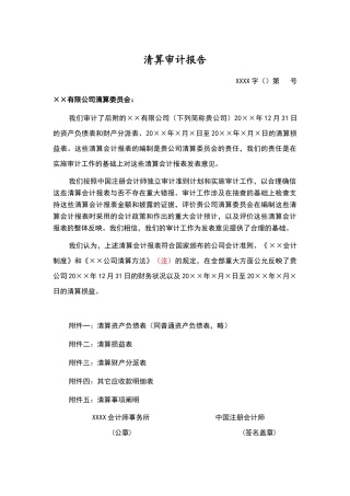 2025年清算审计报告模板