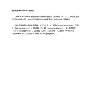 2025年颈内动脉分段解剖