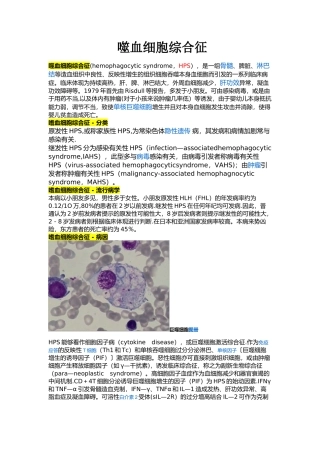 2025年噬血细胞综合征