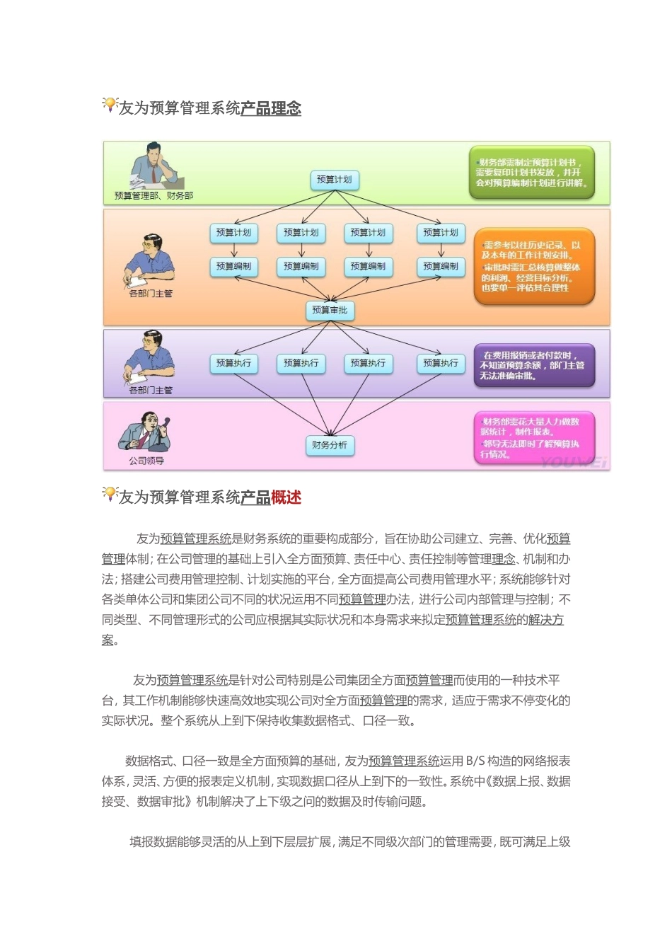 2025年预算管理系统解决方案设计_第1页