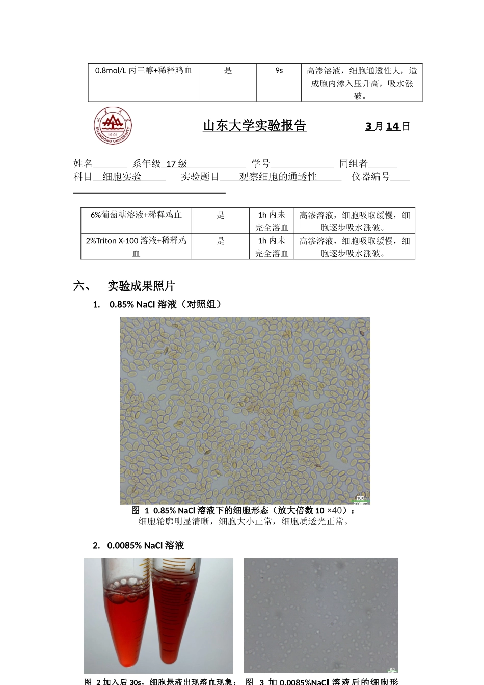 2025年细胞通透性实验报告_第3页