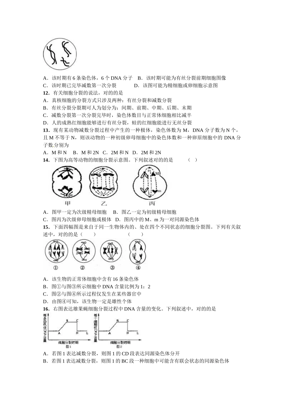2025年减数分裂和受精作用专题和答案_第2页