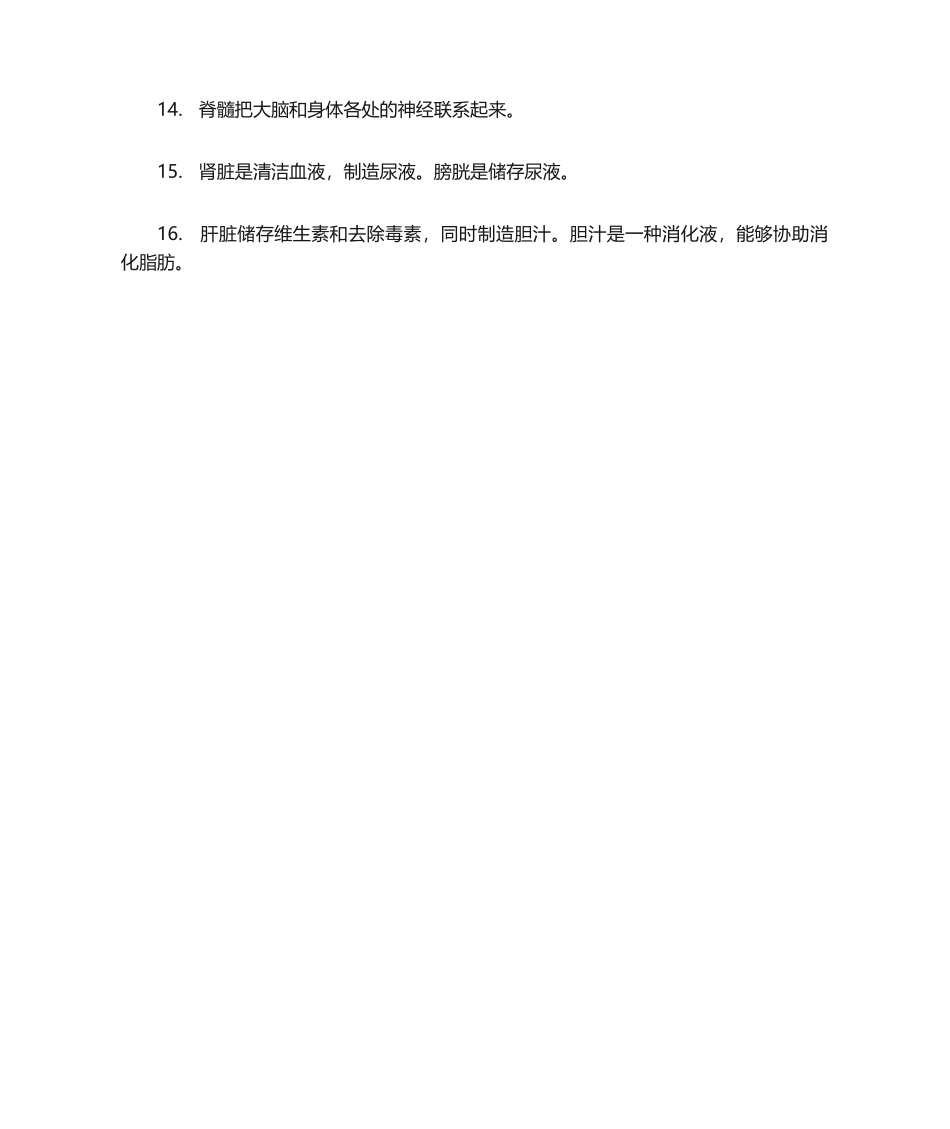 2025年神奇的校车复习题_第2页