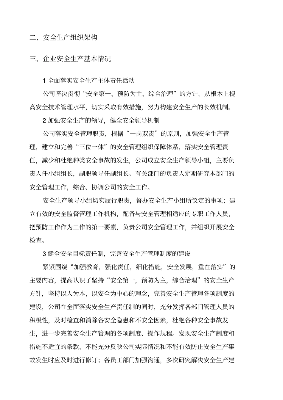 企业自评报告_第2页