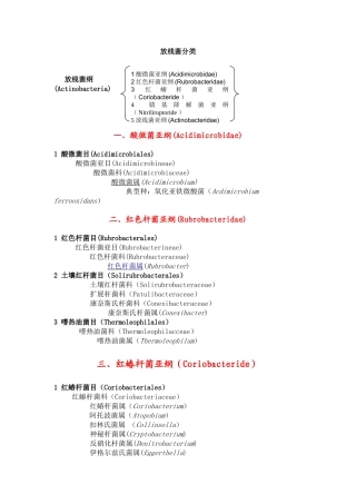 2025年放线菌分类完整