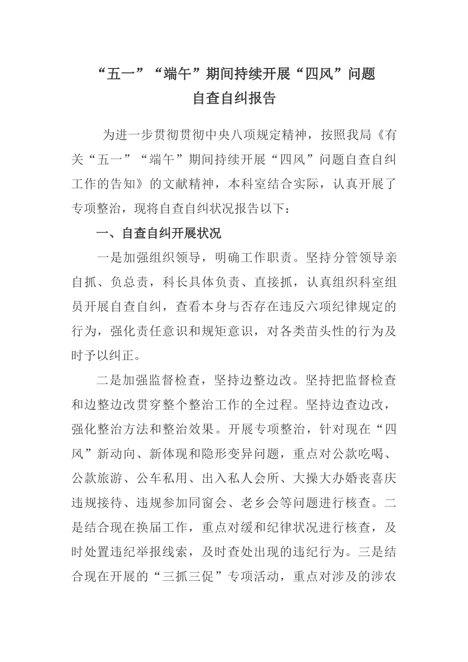 2025年五一自查报告_第1页