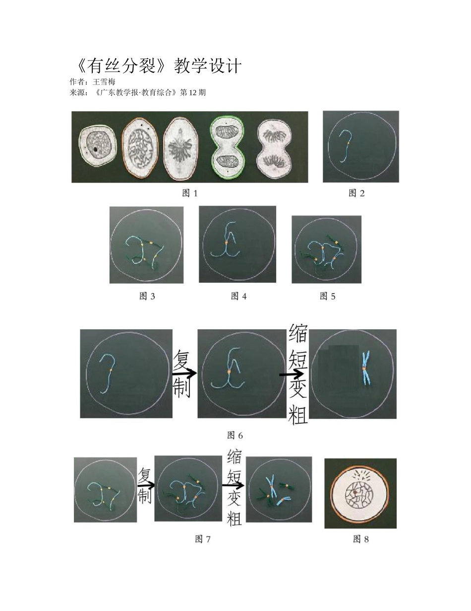 2025年有丝分裂教学设计_第1页