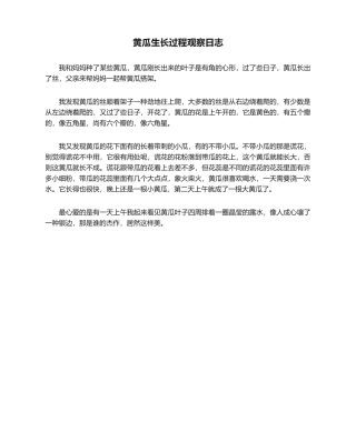 2025年黄瓜生长过程观察日记