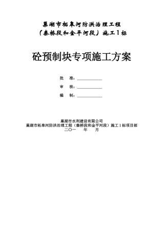 2025年施工方案混凝土预制块体专项施工方案