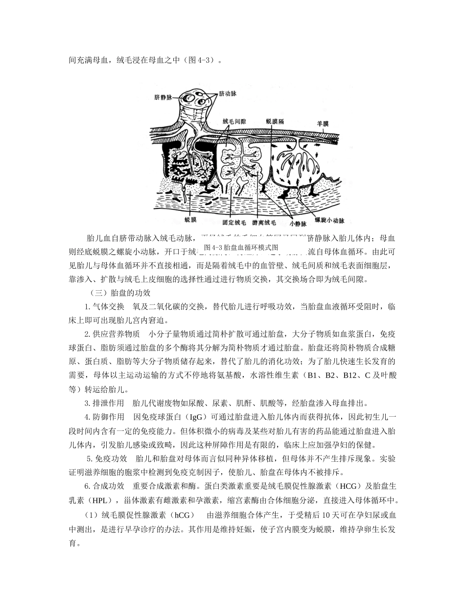 2025年妊娠生理_第3页