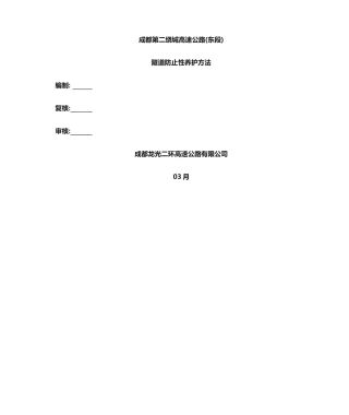 2025年隧道预防性养护措施