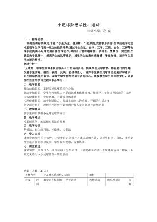 2025年公开课小足球教案
