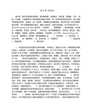 2025年食叶草食叶参