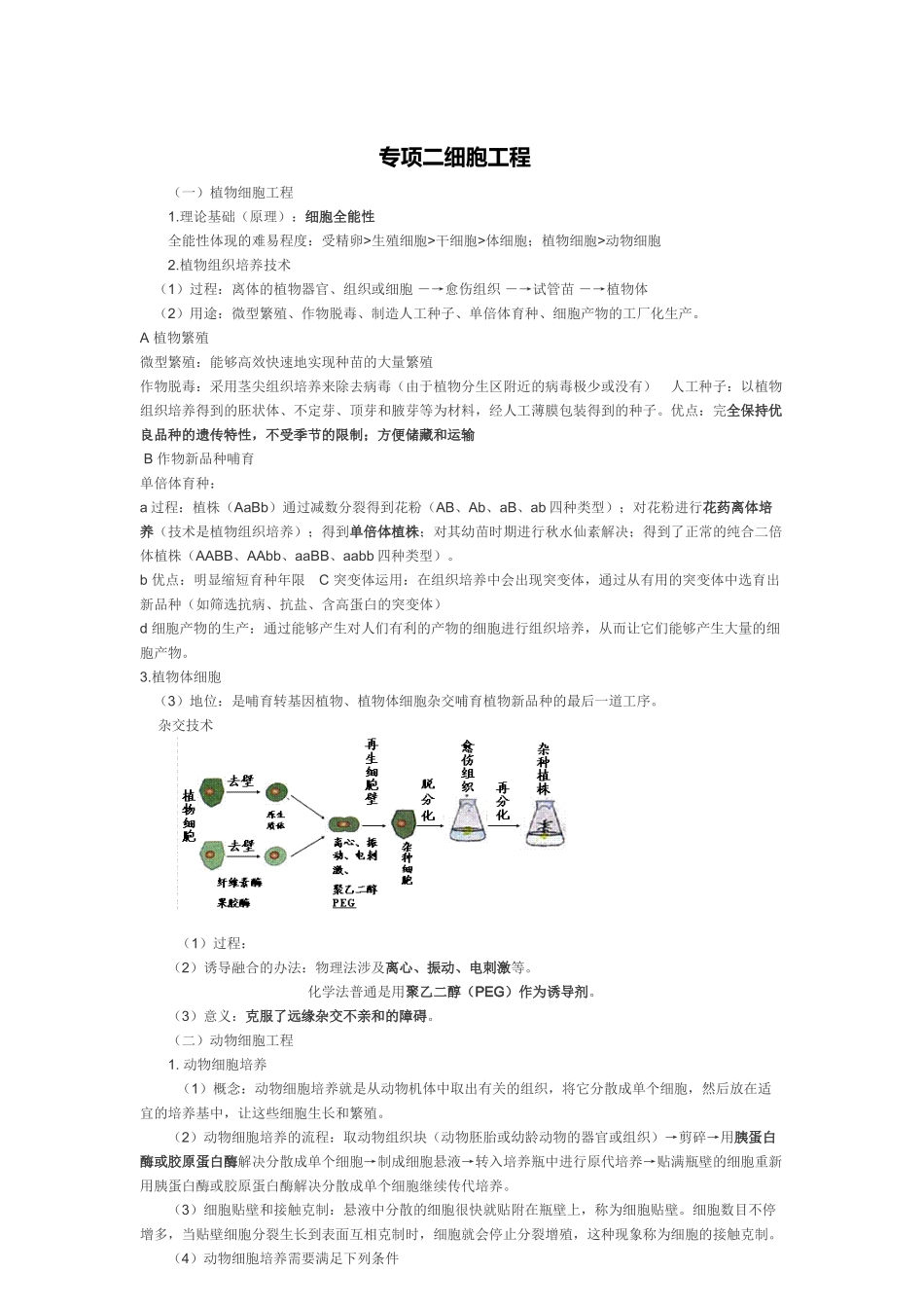 2025年生物选修三全_第3页