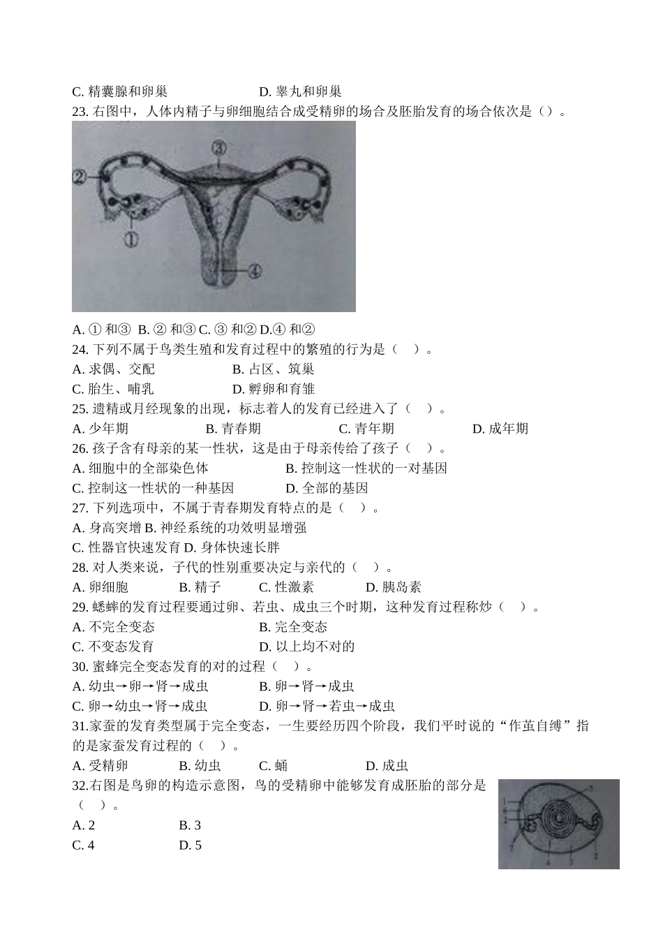 2025年初中生物中考总复习生物遗传变异练习题集_第3页