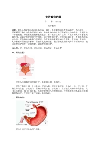 2025年人体结构与功能之胃