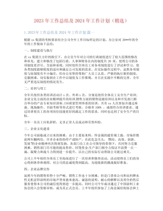 2023年工作总结及2024年工作计划(精选)