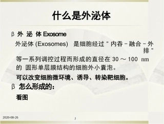 外泌体参考幻灯片