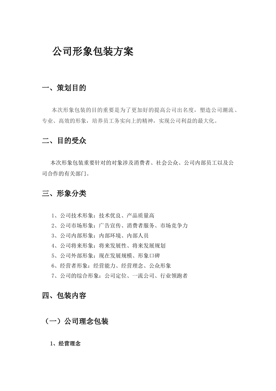 2025年企业形象包装方案_第3页