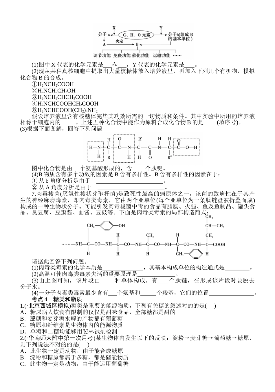 2025年组成细胞的分子一轮复习习题_第3页