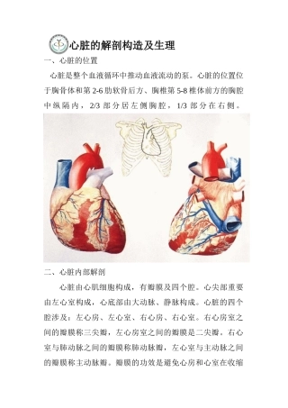2025年心脏的解剖结构及生理含彩图