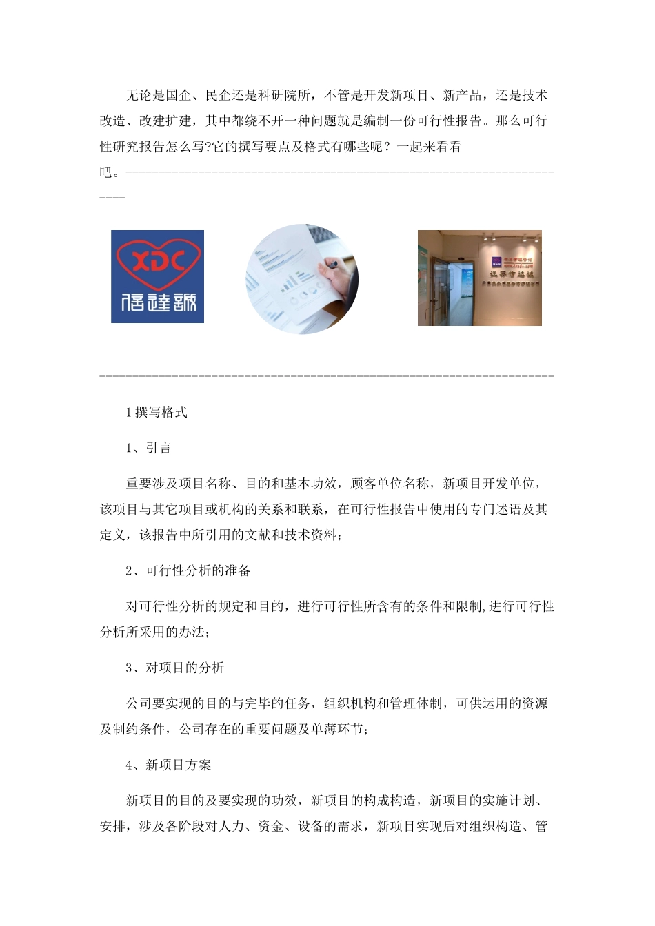 2025年可行性研究报告怎么写_第1页