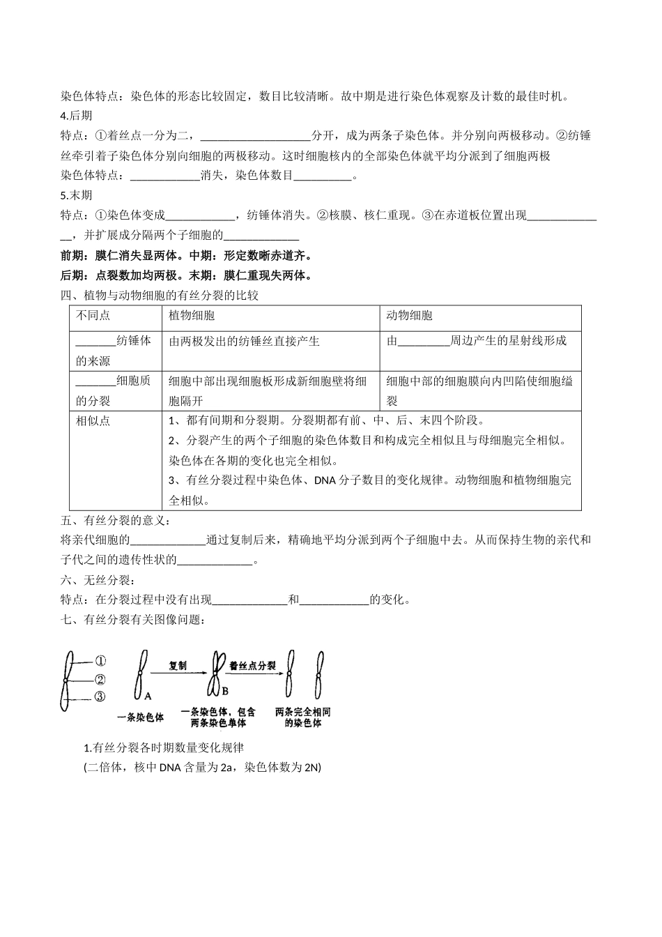 2025年专题复习有丝分裂和减数分裂教案设计_第2页