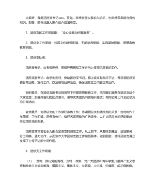 2025年团总支书记发言稿