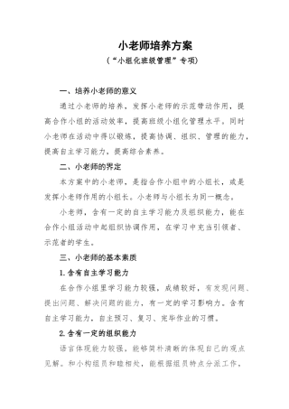 2025年小老师培养方案