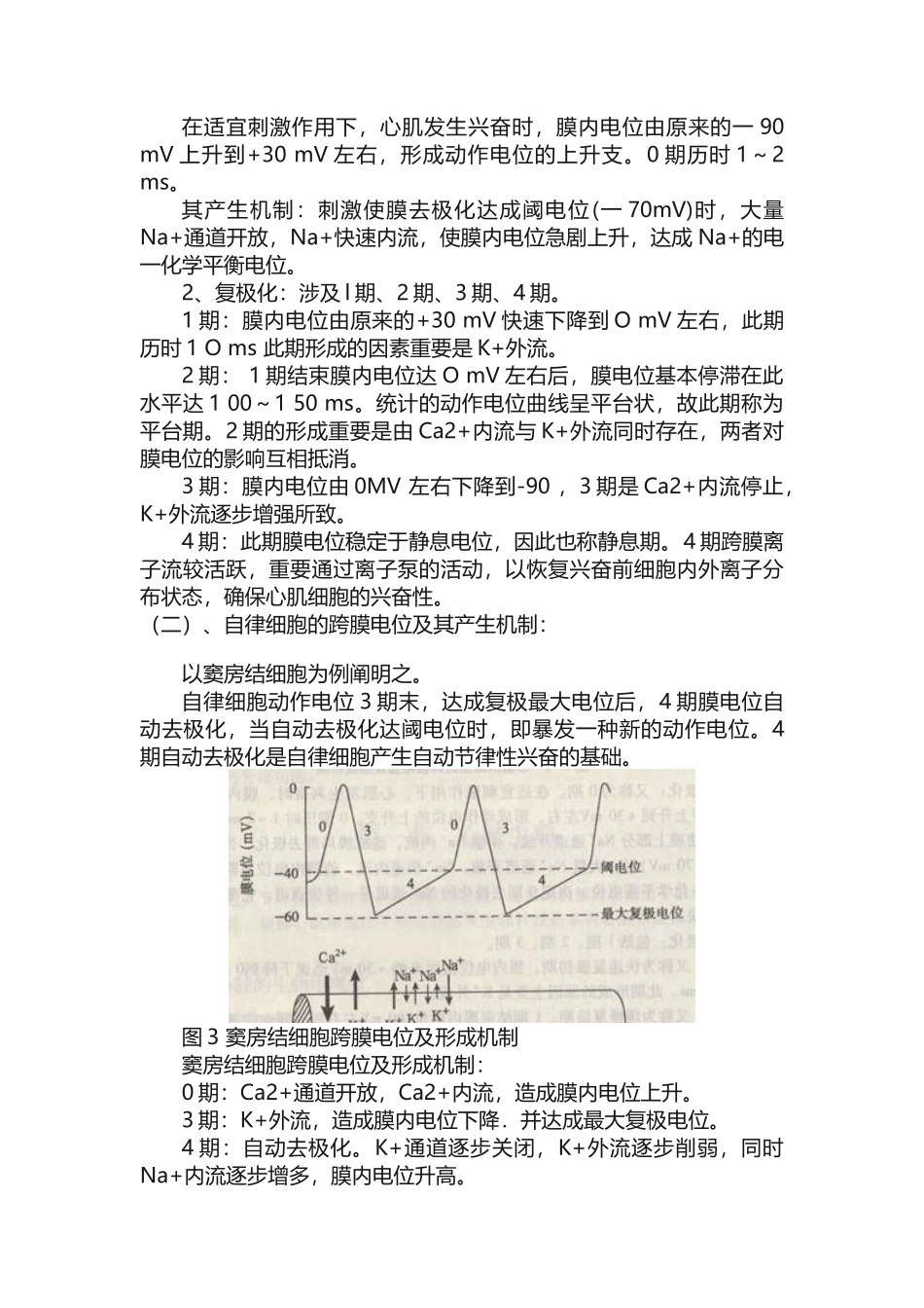 2025年心肌生理特性_第2页