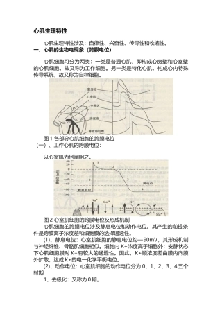 2025年心肌生理特性