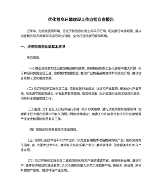 2025年优化营商环境建设工作自检自查报告
