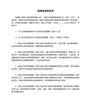 2025年信息安全责任书