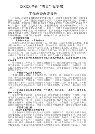 2025年五星自查自评报告