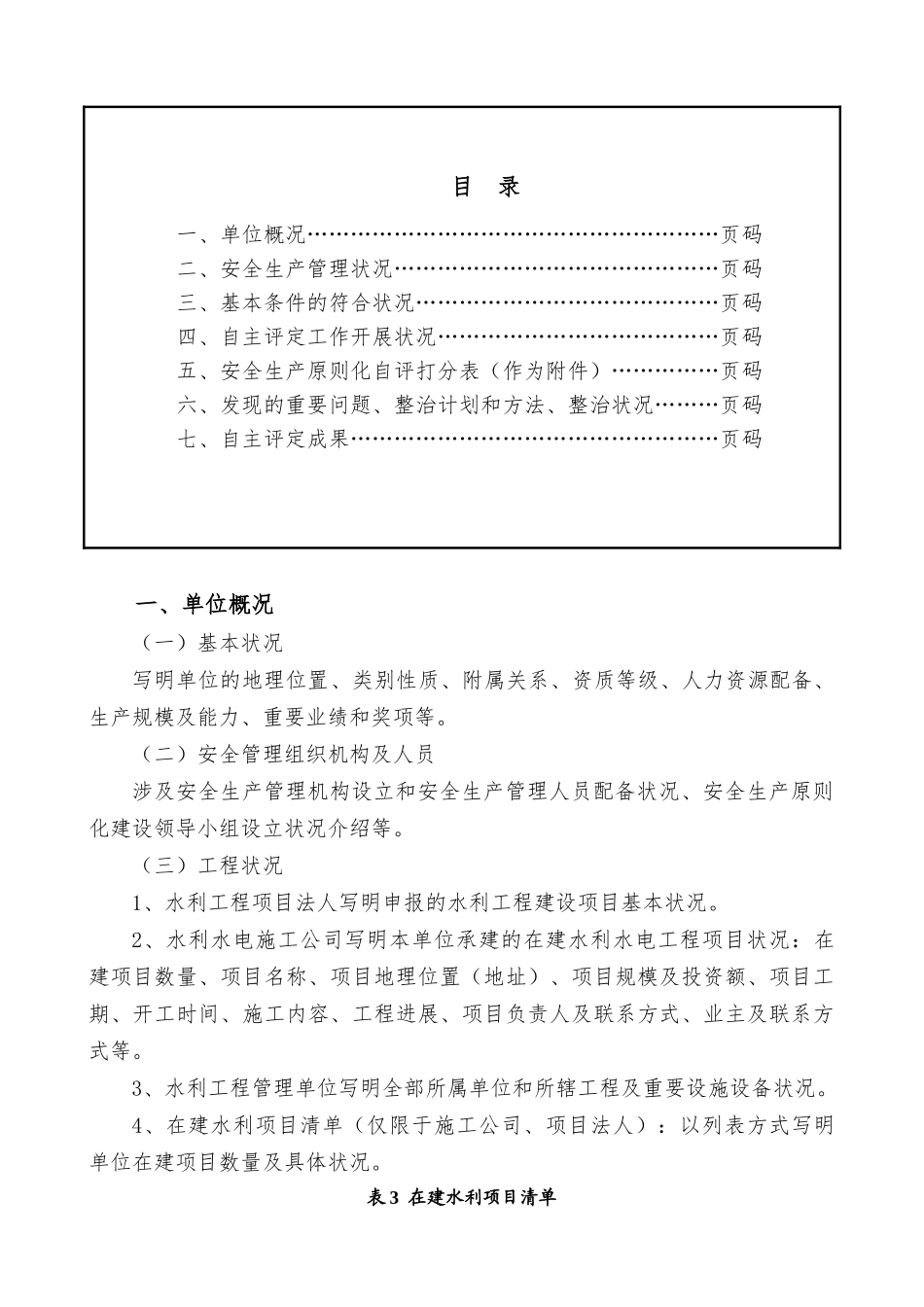 2025年水利安全生产标准化自评报告_第3页