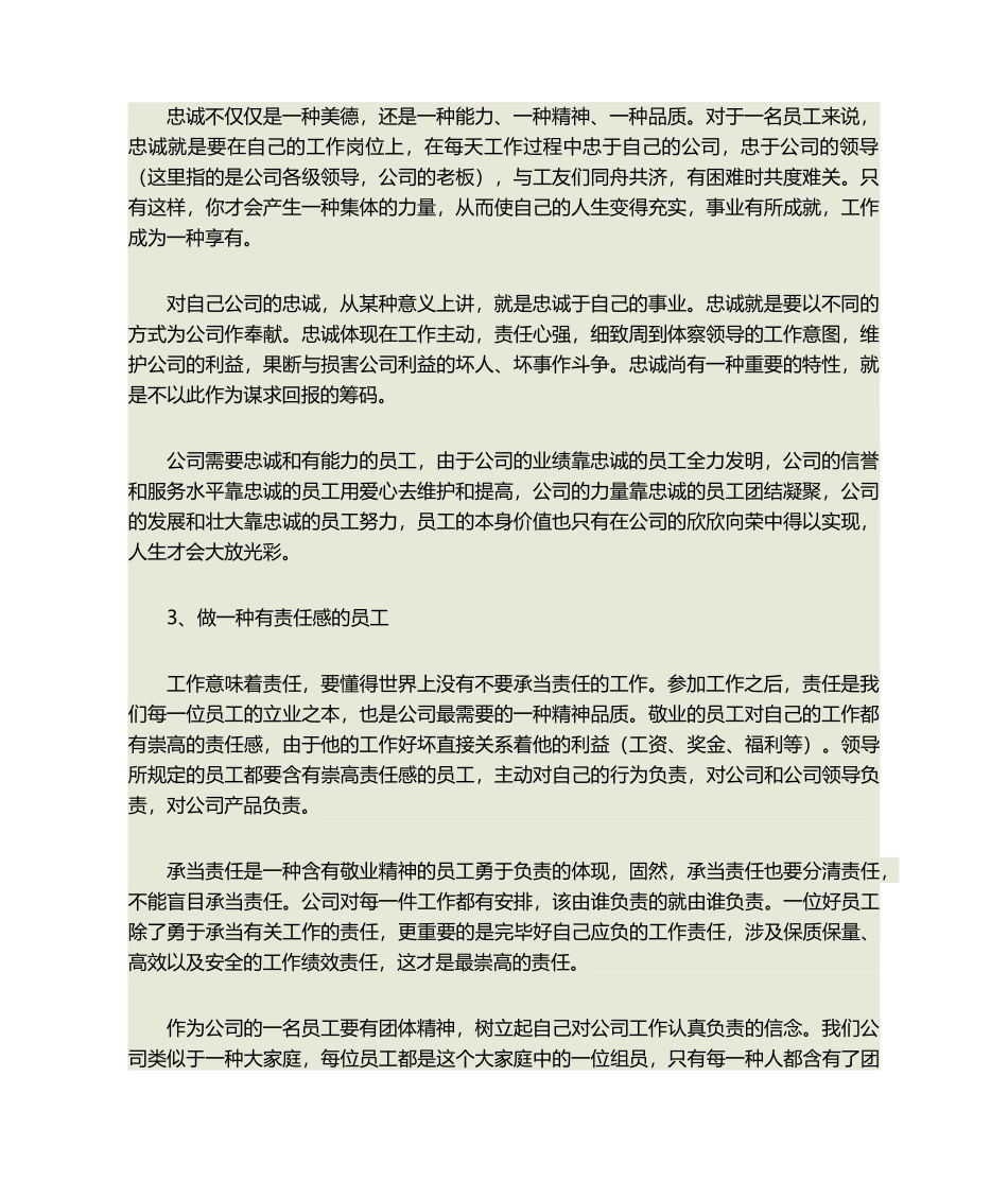 2025年公司企业文化理解_第2页