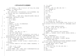 2025年小学毕业考试作文试题集锦