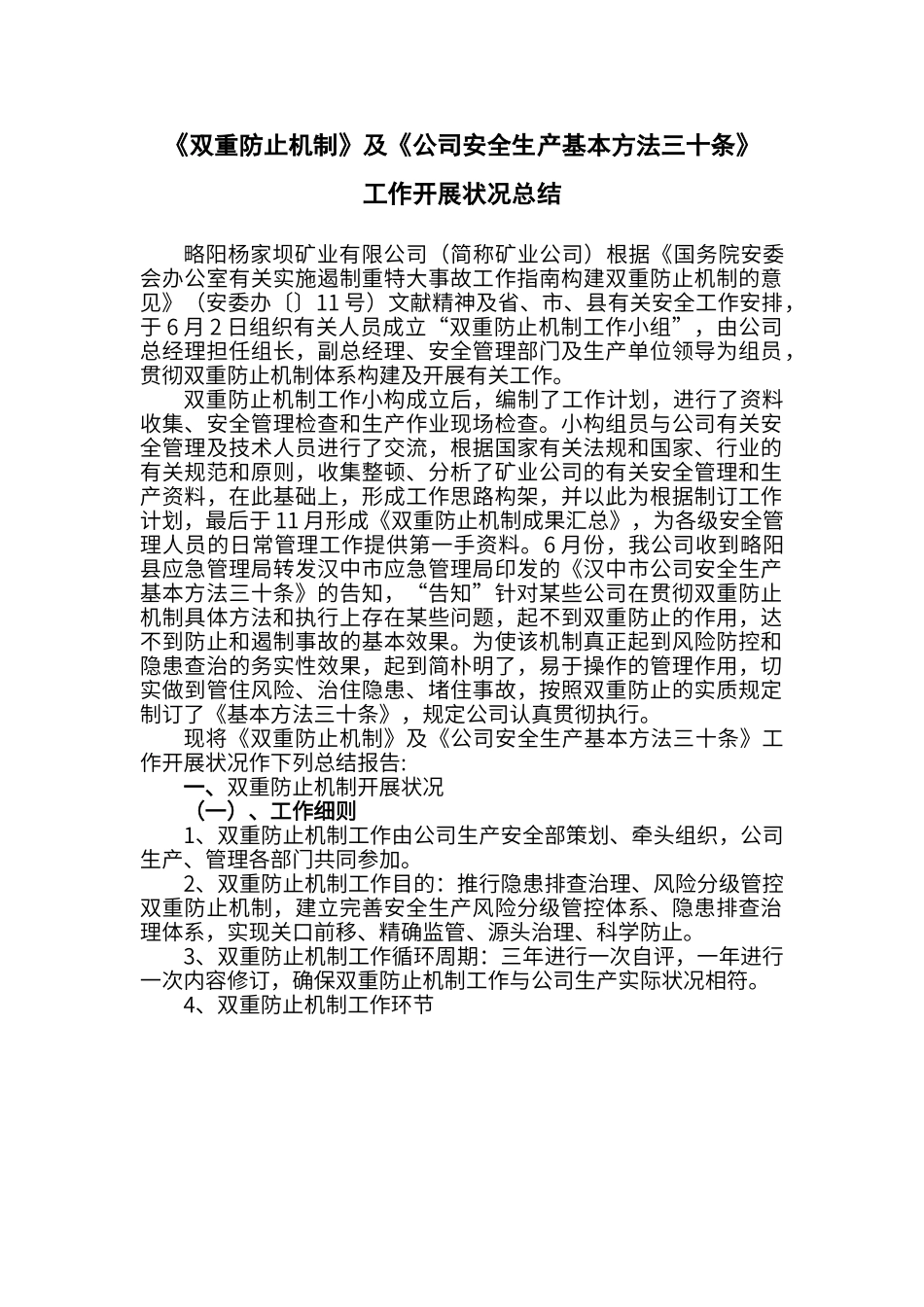 2025年双重预防机制工作总结_第1页