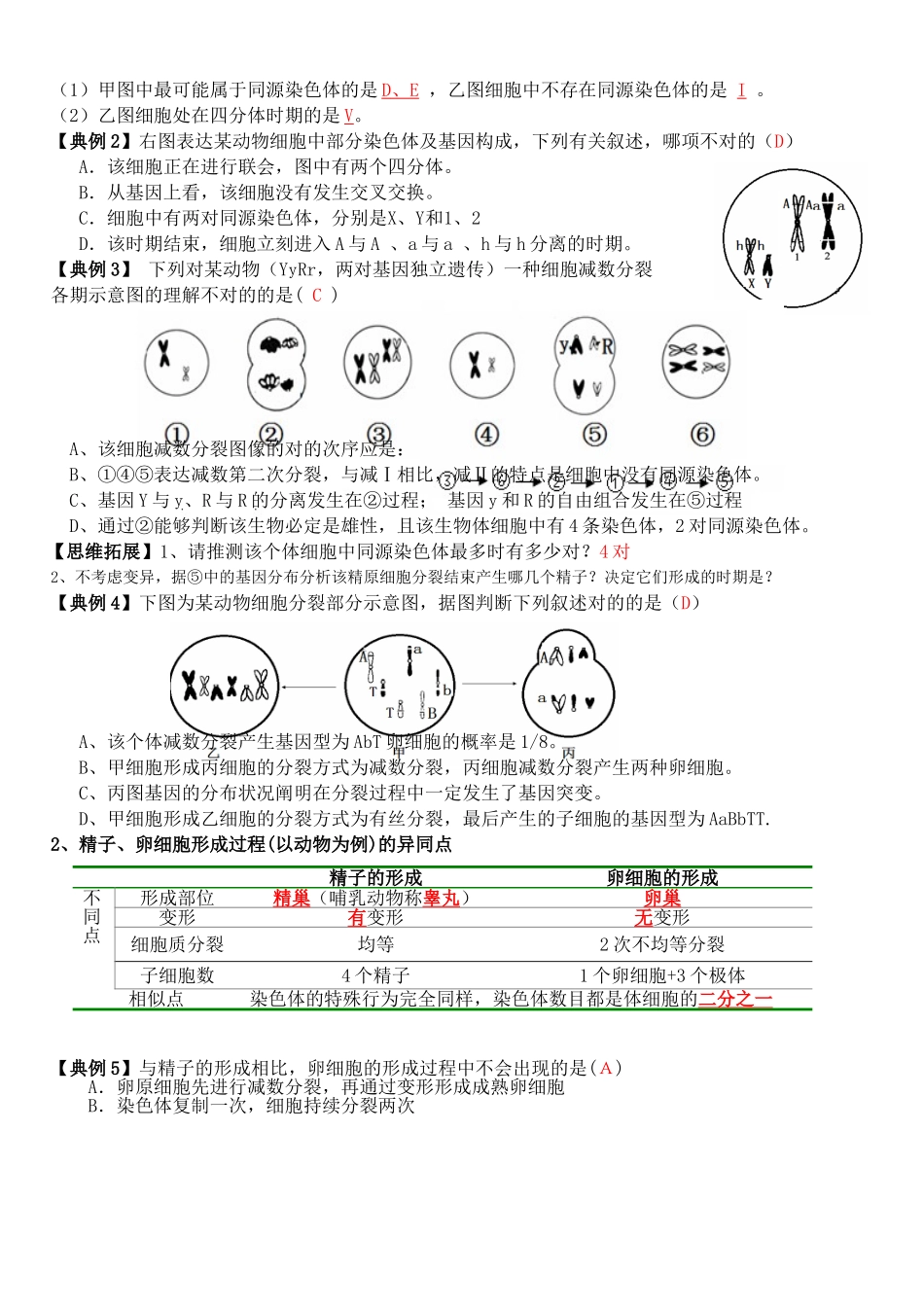 2025年减数分裂和受精作用一轮复习教学案教师版_第2页