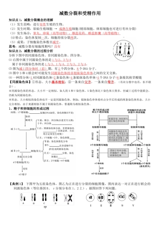 2025年减数分裂和受精作用一轮复习教学案教师版