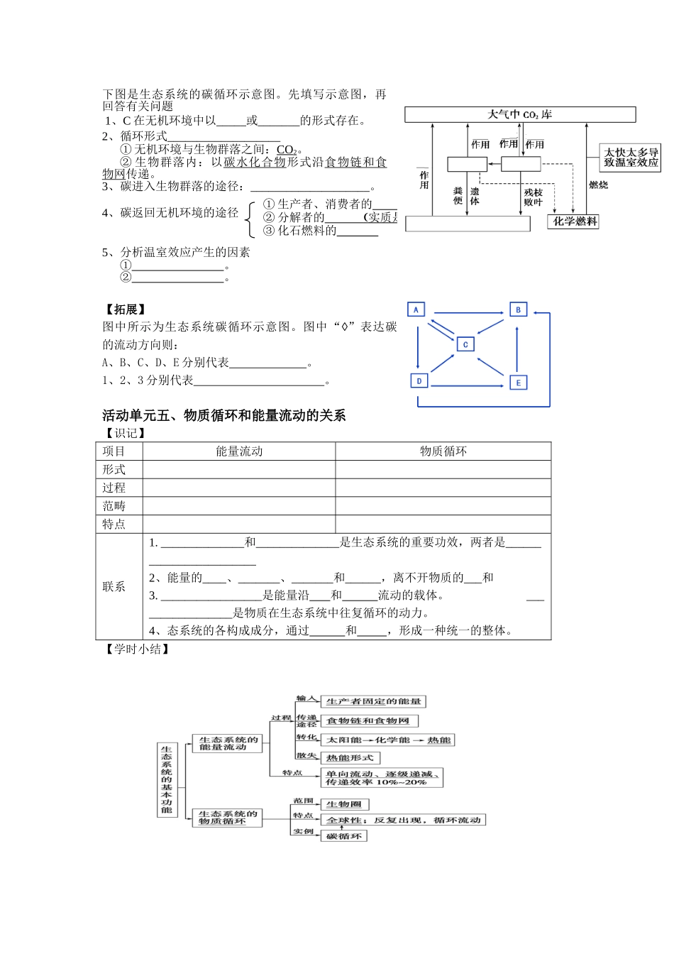 2025年能量流动物质循环_第3页