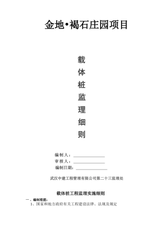 2025年载体桩基细则