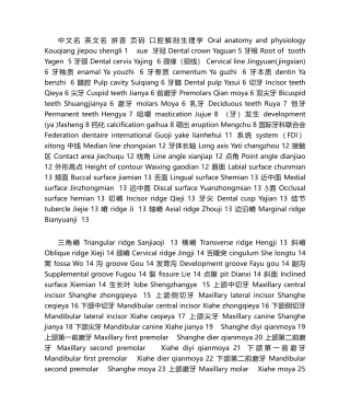 2025年口腔解剖生理学词汇