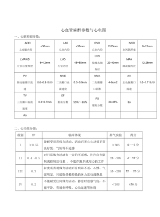 2025年心血管麻醉参数与心电图