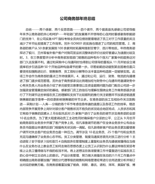 2025年企业商务部年终总结